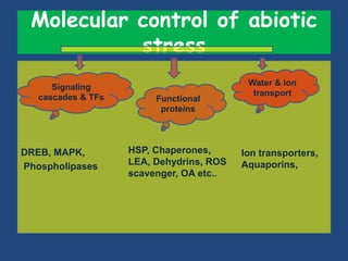 Drought n heat abiotic stress in plants | PPTX