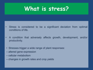 Drought n heat abiotic stress in plants | PPTX
