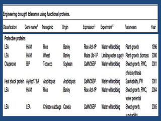 Drought n heat abiotic stress in plants | PPTX