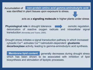 Drought n heat abiotic stress in plants | PPTX