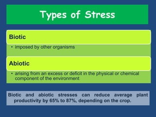Drought n heat abiotic stress in plants | PPTX