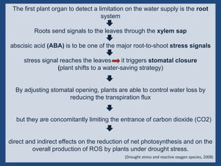 Drought n heat abiotic stress in plants | PPTX
