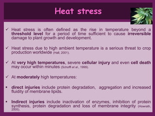Drought n heat abiotic stress in plants | PPTX