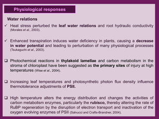 Drought n heat abiotic stress in plants | PPTX