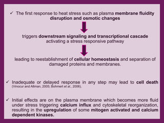 Drought n heat abiotic stress in plants | PPTX