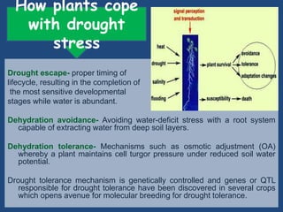 Drought n heat abiotic stress in plants | PPTX