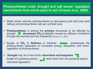 Drought n heat abiotic stress in plants | PPTX