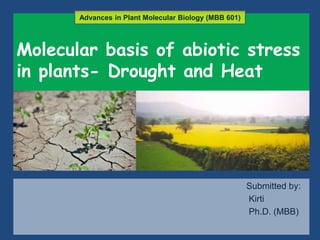 Molecular basis of abiotic stress
in plants- Drought and Heat
Submitted by:
Kirti
Ph.D. (MBB)
Advances in Plant Molecular Biology (MBB 601)
 