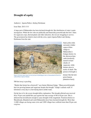 Drought of equity
Author(s): Aparna Pallavi, Akshay Deshmane
Issue Date: 2013-3-31
A large part of Maharashtra has been declared drought-hit. But distribution of water is quite
incongruous. While the few who are politically and financially powerful take the lion’s share
for sugarcane crops, thermal plants and other industries, the rest are struggling to survive.
The government has failed to deal with the crisis, report Aparna Pallavi and Akshay
Deshmane from the state
Stark yellow hills
surround a fodder
camp at Salse
village in
Maharashtra’s
Solapur district. In
the afternoon heat,
cattle desultorily
munch on hard
chunks of
sugarcane, while
farmers doze in
nooks of shade. The
picture of drought is
dismal. But the lush
green banana
plantation barely
500 feet away is puzzling.
“Maybe that farmer has a borewell,” says farmer Motiram Gadge. “Many powerful people
here are growing banana and sugarcane despite the drought.” Gadge’s animals walk 14
kilometres every day to a fast-drying dam to drink water.
On the face of it, the severe drought defies explanation. The drought-affected area received
60 to 70 per cent rainfall this year against the state average of 90 to 92 per cent. This is
deficient but not deficient enough to cause drought of this magnitude. Fourteen districts in
Marathwada, Khandesh and south Maharashtra have been declared drought-hit. More than
11,000 villages are facing water crisis and 3,905 villages have suffered more than 50 per cent
crop loss.
Figure 1A farmer goes down to the dry bed of Babhulgaon dam in Osmanabad to fetch his
cattle (Photo: Aparna Pallavi)
 
