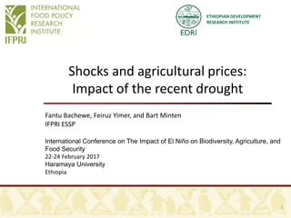 ETHIOPIAN DEVELOPMENT
RESEARCH INSTITUTE
Shocks and agricultural prices:
Impact of the recent drought
Fantu Bachewe, Feiruz Yimer, and Bart Minten
IFPRI ESSP
International Conference on The Impact of El Niño on Biodiversity, Agriculture, and
Food Security
22-24 February 2017
Haramaya University
Ethiopia
1
 