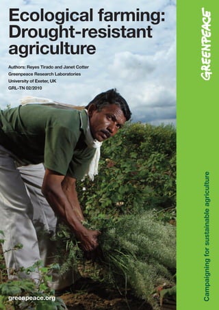 Ecological farming:
                                         Ecological farming:
                                          Drought-resistant
                                                 agriculture




Drought-resistant
agriculture
Authors: Reyes Tirado and Janet Cotter
Greenpeace Research Laboratories
University of Exeter, UK
GRL-TN 02/2010




                                                   Campaigning for sustainable agriculture




greenpeace.org
 