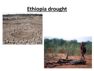 Ethiopia drought
 