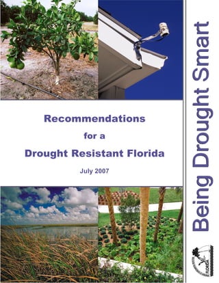 Recommendations
          for a

Drought Resistant Florida
         July 2007




                     1
 