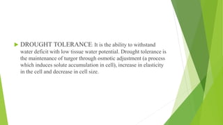  DROUGHT TOLERANCE: It is the ability to withstand
water deficit with low tissue water potential. Drought tolerance is
the maintenance of turgor through osmotic adjustment (a process
which induces solute accumulation in cell), increase in elasticity
in the cell and decrease in cell size.
 