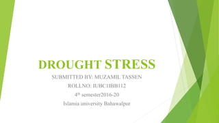 DROUGHT STRESS
SUBMITTED BY: MUZAMIL TASSEN
ROLLNO: IUBC1IBB112
4th semester2016-20
Islamia university Bahawalpur
 