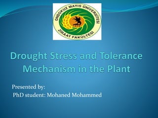 Drought stress and tolerance mechanisms in crops | PPTX
