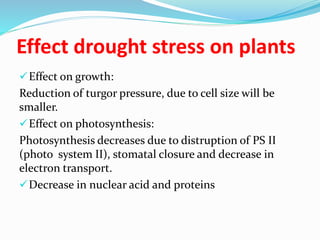 Drought stress and tolerance mechanisms in crops | PPTX