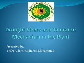 Presented by:
PhD student: Mohaned Mohammed
 