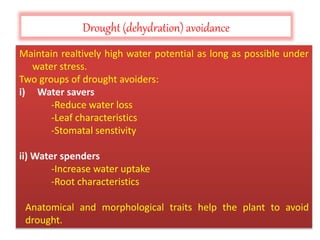 Drought stress Effects and Breeding Strategies | PPTX