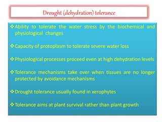 Drought stress Effects and Breeding Strategies | PPTX