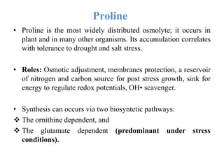 • Proline is the most widely distributed osmolyte; it occurs in
plant and in many other organisms. Its accumulation correlates
with tolerance to drought and salt stress.
• Roles: Osmotic adjustment, membranes protection, a reservoir
of nitrogen and carbon source for post stress growth, sink for
energy to regulate redox potentials, OH• scavenger.
• Synthesis can occurs via two biosyntetic pathways:
 The ornithine dependent, and
 The glutamate dependent (predominant under stress
conditions).
Proline
 
