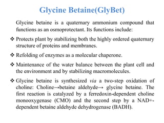 Glycine Betaine(GlyBet)
Glycine betaine is a quaternary ammonium compound that
functions as an osmoprotectant. Its functions include:
 Protects plant by stabilizing both the highly ordered quaternary
structure of proteins and membranes.
 Refolding of enzymes as a molecular chaperone.
 Maintenance of the water balance between the plant cell and
the environment and by stabilizing macromolecules.
 Glycine betaine is synthesized via a two-step oxidation of
choline: Choline→betaine aldehyde→ glycine betaine. The
first reaction is catalyzed by a ferredoxin-dependent choline
monooxygenase (CMO) and the second step by a NAD+-
dependent betaine aldehyde dehydrogenase (BADH).
 