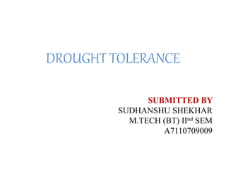 DROUGHT TOLERANCE
SUBMITTED BY
SUDHANSHU SHEKHAR
M.TECH (BT) IInd SEM
A7110709009
 