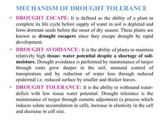 MECHANISM OF DROUGHT TOLERANCE
• DROUGHT ESCAPE: It is defined as the ability of a plant to
complete its life cycle before supply of water in soil is depleted and
form dormant seeds before the onset of dry season. These plants are
known as drought escapers since they escape drought by rapid
development.
• DROUGHT AVOIDANCE: It is the ability of plants to maintain
relatively high tissue- water potential despite a shortage of soil-
moisture. Drought avoidance is performed by maintenance of turgor
through roots grow deeper in the soil, stomatal control of
transpiration and by reduction of water loss through reduced
epidermal i.e. reduced surface by smaller and thicker leaves.
• DROUGHT TOLERANCE: It is the ability to withstand water-
deficit with low tissue water potential. Drought tolerance is the
maintenance of turgor through osmotic adjustment (a process which
induces solute accumulation in cell), increase in elasticity in the cell
and decrease in cell size.
 