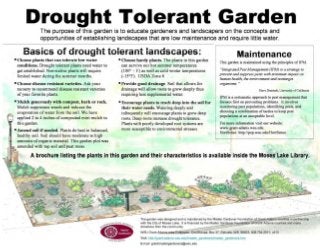 Drought Tolerant Garden - Washington State University, Pullman