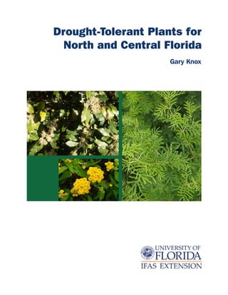 Drought-Tolerant Plants for
  North and Central Florida
                     Gary Knox
 