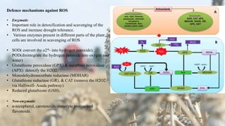 Defence mechanisms against ROS
• Enzymatic
• Important role in detoxification and scavenging of the
ROS and increase drought tolerance.
• Various enzymes present in different parts of the plant
cells are involved in scavenging of ROS
• SOD( convert the o2*- into hydrogen peroxide).
POD(disintegrate the hydrogen peroxide into oxygen and
water)
• Glutathione peroxidase (GPX) & ascorbate peroxidase
(APX) detoxify the H2O2.
• Monodehydroascorbate reductase (MDHAR)
• Glutathione reductase (GR), & CAT (remove the H2O2
via Halliwell- Asada pathway).
• Reduced glutathione (GSH).
• Non-enzymatic
• α-tocopherol, carotenoids, osmolyte proline and
flavonoids.
 