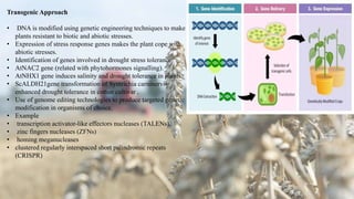 Transgenic Approach
• DNA is modified using genetic engineering techniques to make
plants resistant to biotic and abiotic stresses.
• Expression of stress response genes makes the plant cope with
abiotic stresses.
• Identification of genes involved in drought stress tolerance.
• AtNAC2 gene (related with phytohormones signalling).
• AtNHX1 gene induces salinity and drought tolerance in plants.
• ScALDH21gene transformation of Syntrichia carninervis
enhanced drought tolerance in cotton cultivar .
• Use of genome editing technologies to produce targeted genetic
modification in organisms of choice.
• Example
• transcription activator-like effectors nucleases (TALENs),
• zinc fingers nucleases (ZFNs)
• homing meganucleases
• clustered regularly interspaced short palindromic repeats
(CRISPR)
 