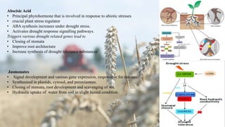 Abscisic Acid
• Principal phytohormone that is involved in response to abiotic stresses
• crucial plant stress regulator
• ABA synthesis increases under drought stress.
• Activates drought response signalling pathways.
Triggers various drought related genes lead to
• Closing of stomata
• Improve root architecture
• Increase synthesis of drought tolerance substances
Jasmonates
• Signal development and various gene expression, responsible for stresses
• Synthesised in plastids, cytosol, and peroxisomes.
• Closing of stomata, root development and scavenging of ros.
• Hydraulic uptake of water from soil in slight humid condition.
 