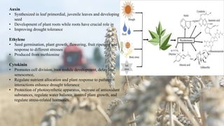 Auxin
• Synthesized in leaf primordial, juvenile leaves and developing
seed
• Development of plant roots while roots have crucial role in
• Improving drought tolerance
Ethylene
• Seed germination, plant growth, flowering, fruit ripening and
response to different stresses
• Produced from methionine
Cytokinin
• Promotes cell division, root nodule development, delay leaf
senescence,
• Regulate nutrient allocation and plant response to pathogen
interactions enhance drought tolerance
• Protection of photosynthetic apparatus, increase of antioxidant
substances, regulate water balance, control plant growth, and
regulate stress-related hormones.
 