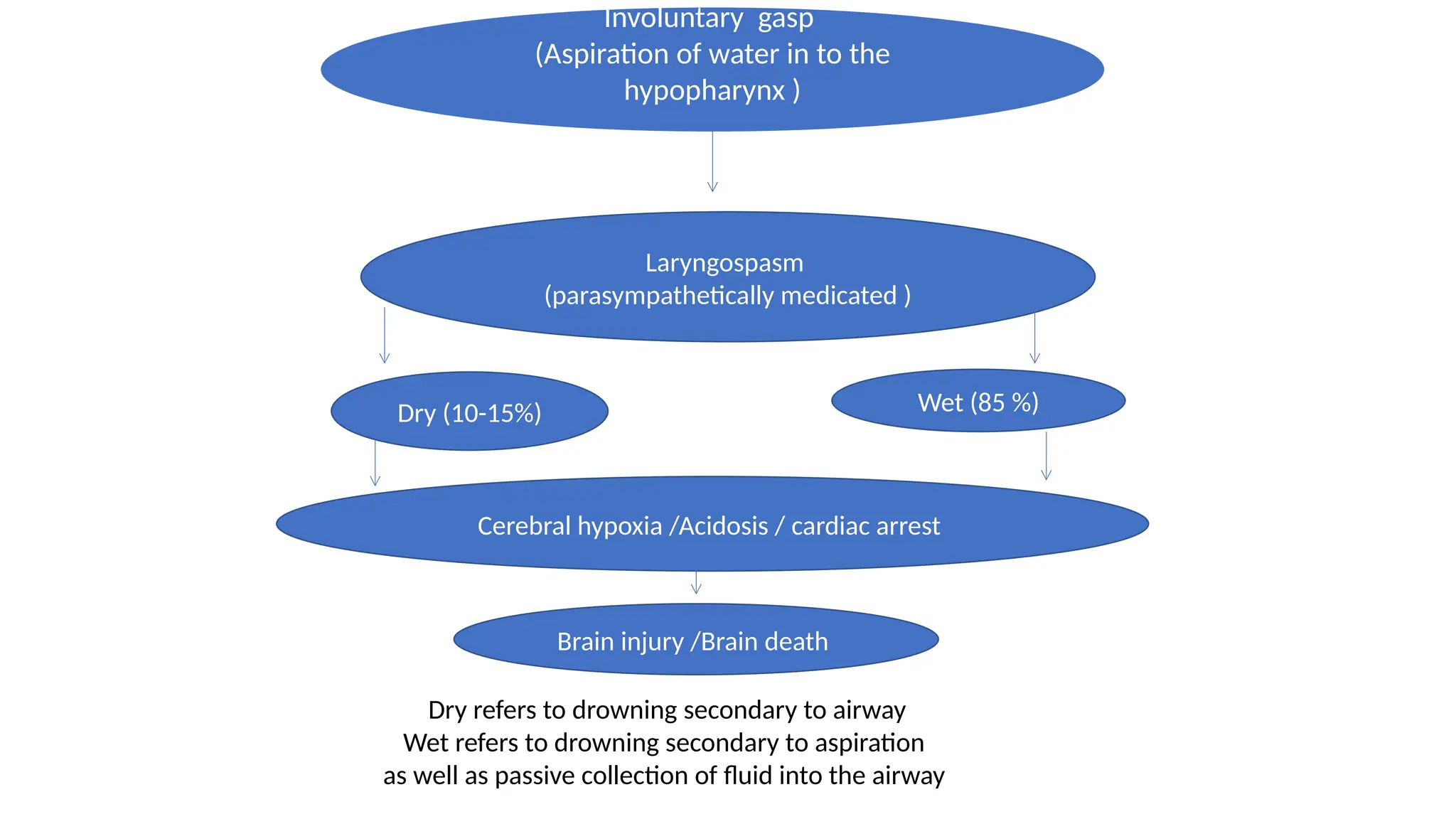 Involuntary gasp
(Aspiration of water in to the
hypopharynx )
Laryngospasm
(parasympathetically medicated )
Dry (10-15%) Wet (85 %)
Cerebral hypoxia /Acidosis / cardiac arrest
Brain injury /Brain death
Dry refers to drowning secondary to airway
Wet refers to drowning secondary to aspiration
as well as passive collection of fluid into the airway
 