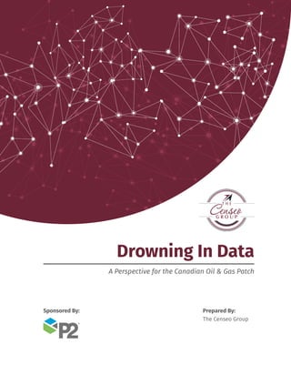 Drowning In Data
A Perspective for the Canadian Oil & Gas Patch
Prepared By:
The Censeo Group
Sponsored By:
 