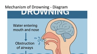 Mechanism of Drowning - Diagram
 