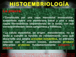 HISTOEMBRIOLOGÍA La pleura: Constituida por una capa mesotelial monocelular, sustentada sobre una membrana basal y una o más capas fibroelásticas (dependiendo de la zona), con sus correspondientes vasos sanguíneos y linfáticos. La célula mesotelial, de origen  mesodérmico, no se limita a cumplir la función de revestimiento, sino que desarrolla una amplia  actividad metabólica , en estrecha relación con el pulmón vecino, pudiendo  producir  diferentes  proteínas  fundamentalmente  colágeno y elastina . Segado A, Rodriguez Panadero F. Fisiopatología de la pleura: Manejo del derrame pleural. En Manual de Neumología y Cirugia Torácica. Caminero JA, Fernandez Fau L (eds.). Madrid; SEPAR. 1998: 1671-1684. 
