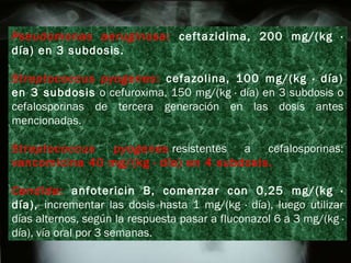 Pseudomonas aeruginosa :  ceftazidima, 200 mg/(kg · día) en 3 subdosis. Streptococcus pyogenes :  cefazolina, 100 mg/(kg · día) en 3 subdosis  o cefuroxima, 150 mg/(kg · día) en 3 subdosis o cefalosporinas de tercera generación en las dosis antes mencionadas. Streptococcus pyogenes   resistentes a cefalosporinas:  vancomicina 40 mg/(kg · día) en 4 subdosis. Candida :  anfotericin B, comenzar con 0,25 mg/(kg · día),  incrementar las dosis hasta 1 mg/(kg · día), luego utilizar días alternos, según la respuesta pasar a fluconazol 6 a 3 mg/(kg · día), vía oral por 3 semanas. 
