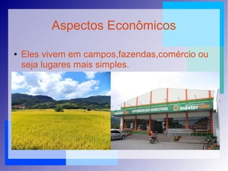 Aspectos Econômicos
● Eles vivem em campos,fazendas,comércio ou
seja lugares mais simples.
 