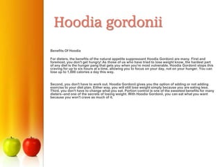 Hoodia gordonii
Benefits Of Hoodia

For dieters, the benefits of the natural appetite suppressant Hoodia Gordonii are many. First and
foremost, you don't get hungry! As those of us who have tried to lose weight know, the hardest part
of any diet is the hunger pang that gets you when you're most vulnerable. Hoodia Gordonii stops this
craving for up to six hours at a time, allowing you to focus on your day, not on your hunger. You can
lose up to 1,000 calories a day this way.


Second, you don't have to work out. Hoodia Gordonii gives you the option of adding or not adding
exercise to your diet plan. Either way, you will still lose weight simply because you are eating less.
Third, you don't have to change what you eat. Portion control is one of the sweetest benefits for many
dieters--and one of the secrets of losing weight. With Hoodia Gordonii, you can eat what you want
because you won't crave as much of it.
 