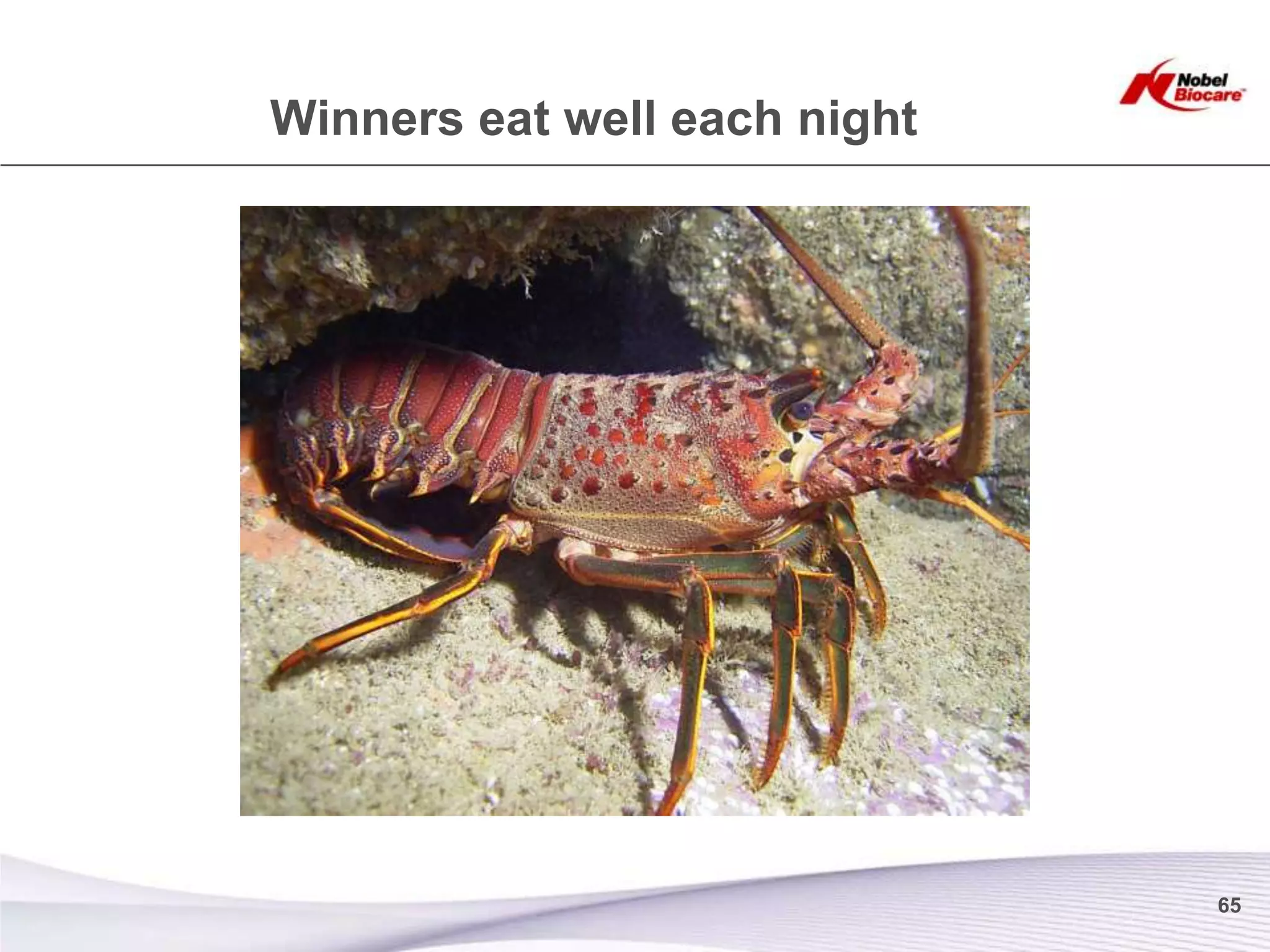 Winners eat well each night




                              65
 