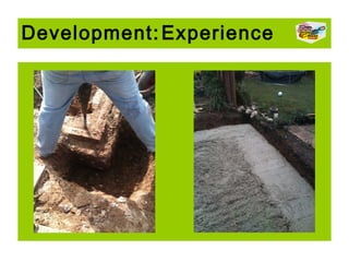 Development: Experience

 