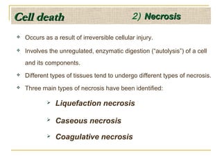 Noncaseating Necrosis Dr prashanth jain;basic pathology | PPT