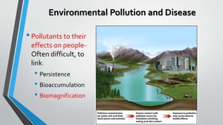 Environmental Pollution and Disease
•Pollutants to their
effects on people-
Often difficult, to
link.
• Persistence
• Bioa...