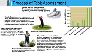 Process of Risk Assessment
 