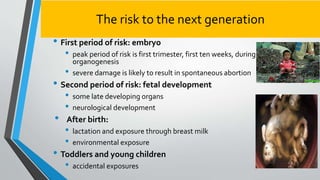 The risk to the next generation
• First period of risk: embryo
• peak period of risk is first trimester, first ten weeks, ...