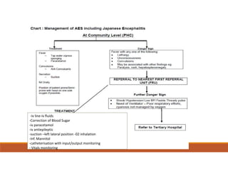 Comprehensive Overview of Acute Encephalitis Syndrome in Pediatrics | PDF