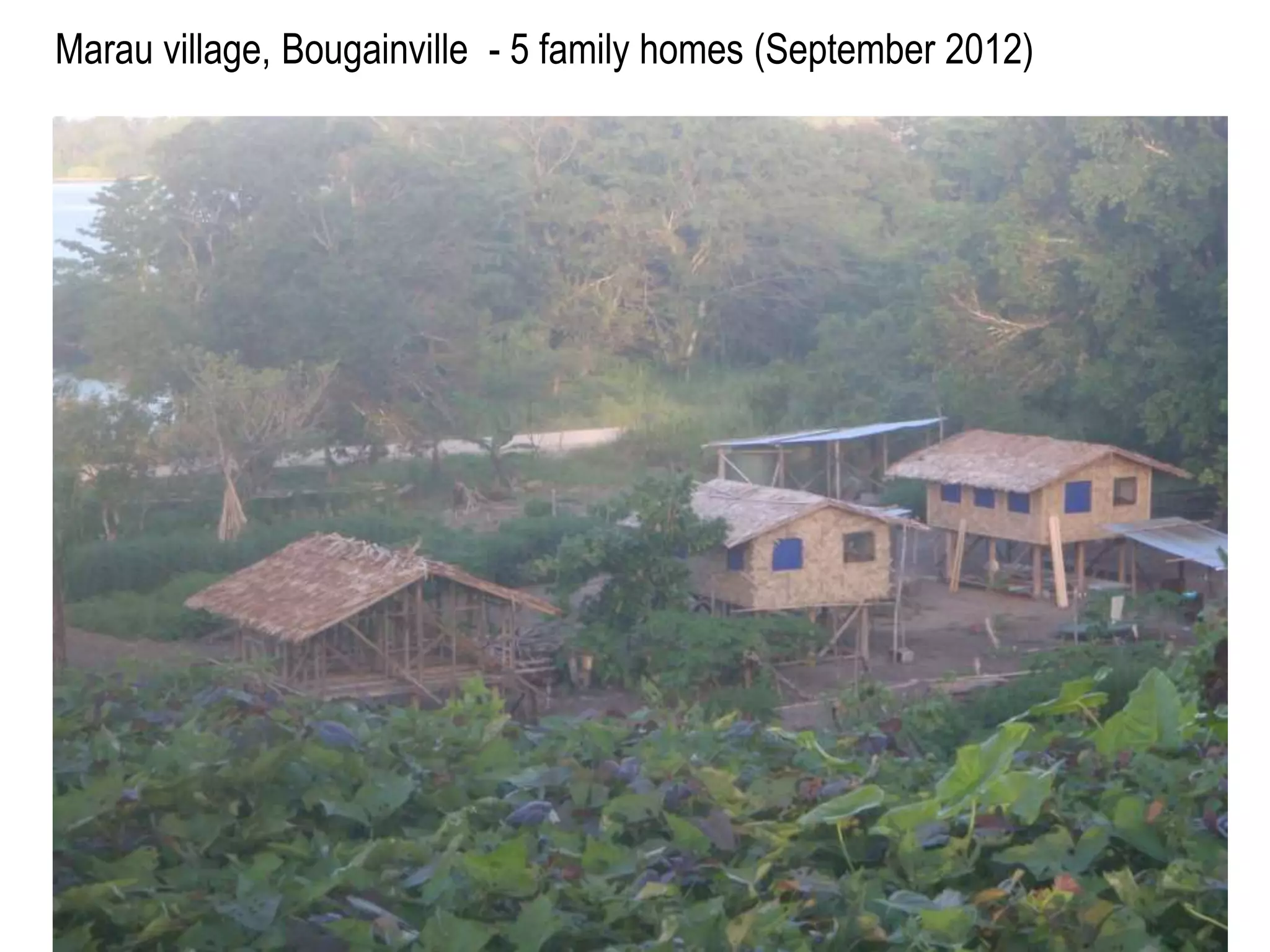 Marau village, Bougainville - 5 family homes (September 2012) 
 