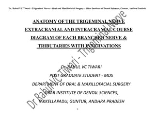 Dr. Rahul VC Tiwari - Trigeminal Nerve – Oral and Maxillofacial Surgery – Sibar Institute of Dental Sciences, Guntur, Andhra Pradesh.
1
Dr. RAHUL VC TIWARI
POST GRADUATE STUDENT - MDS
DEPARTMENT OF ORAL & MAXILLOFACIAL SURGERY
SIBAR INSTITUTE OF DENTAL SCIENCES,
TAKKELLAPADU, GUNTUR, ANDHRA PRADESH
ANATOMY OF THE TRIGEMINAL NERVE
EXTRACRANIALAND INTRACRANIAL COURSE
DIAGRAM OF EACH BRANCHED NERVE &
TRIBUTARIES WITH INNERVATIONS
 